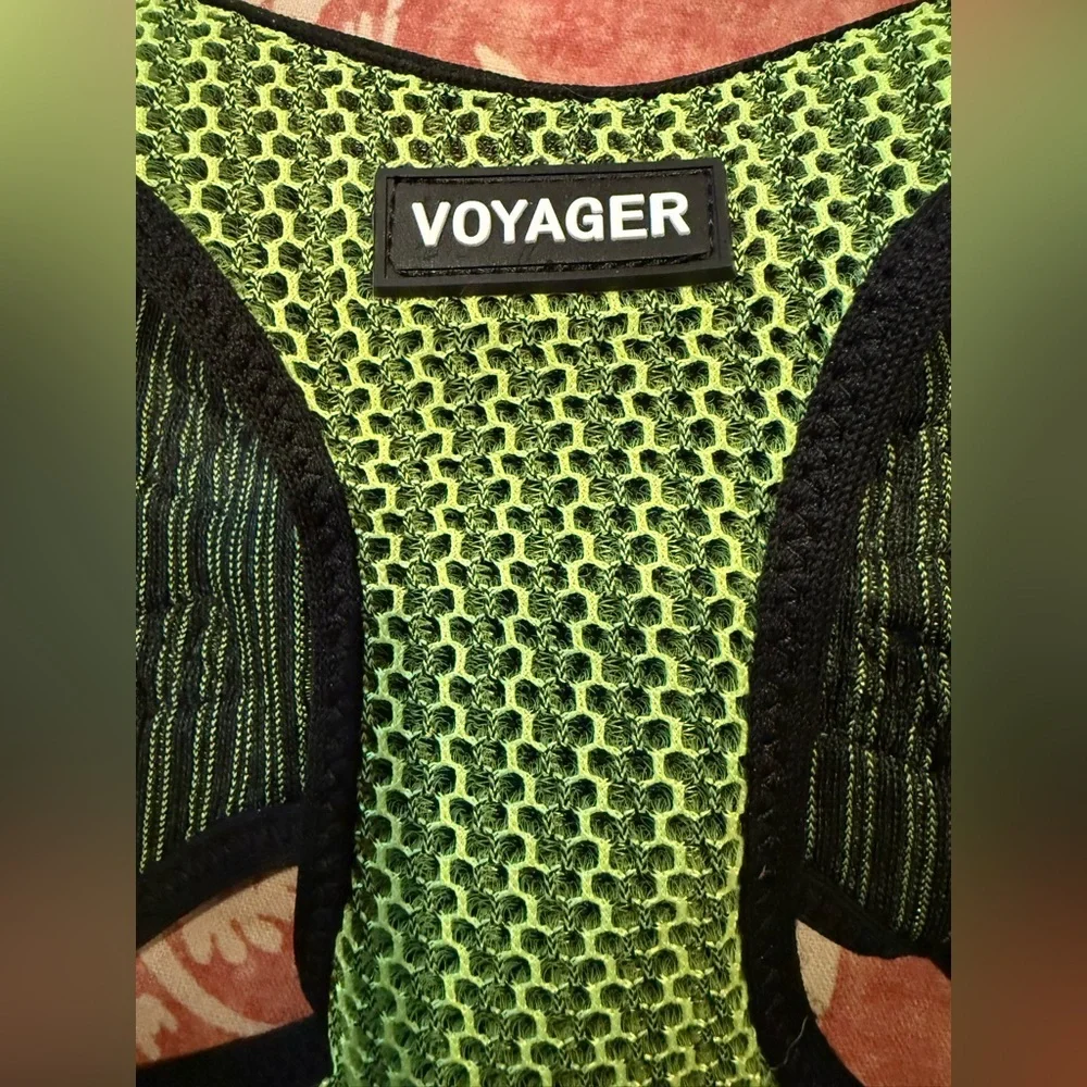 voyager ensure your